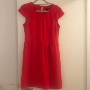 Summer Work Dress with Cap Sleeve